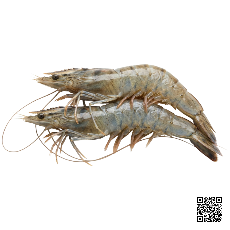 Mực Trứng Thả Lẩu