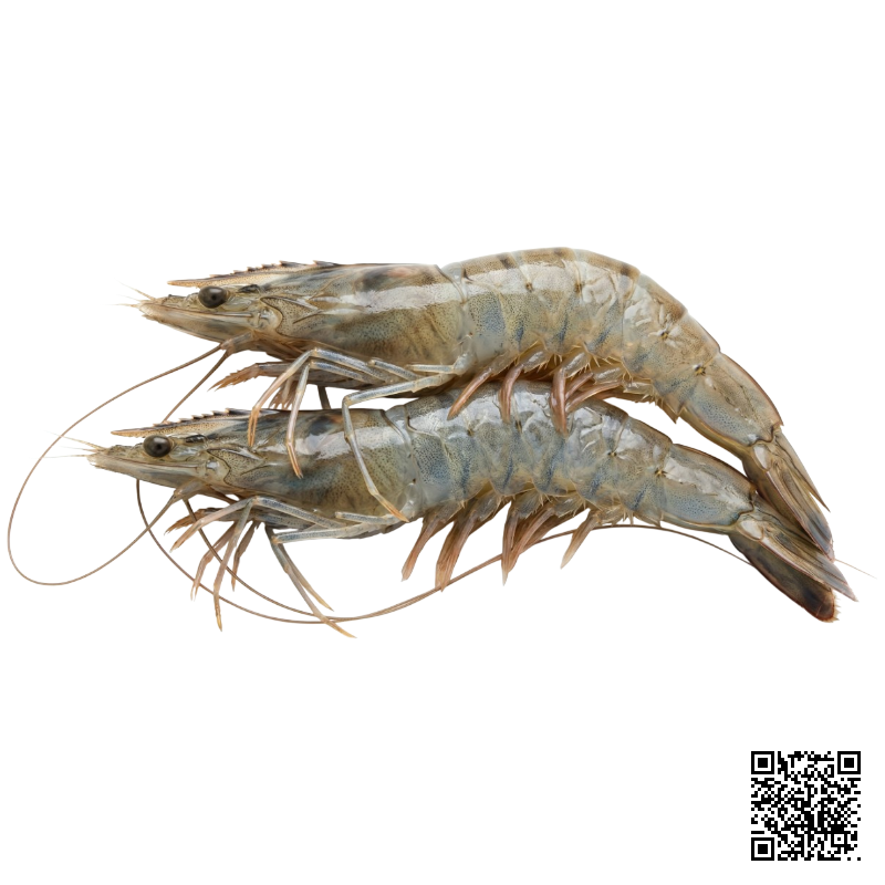 Mực Trứng Thả Lẩu