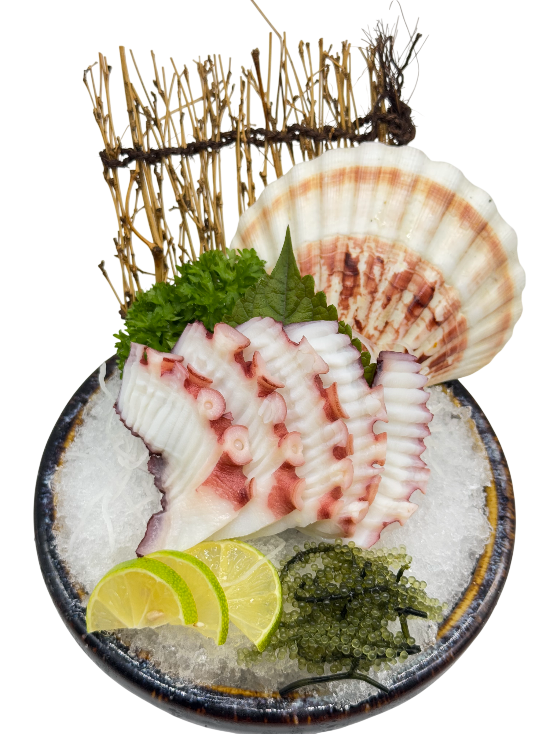 SASHIMI Bạch Tuộc Nhật